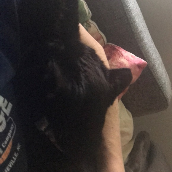 Meet your Posher, Rebeka - Picture 1 of 1